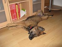 2009_03_15 bella _019